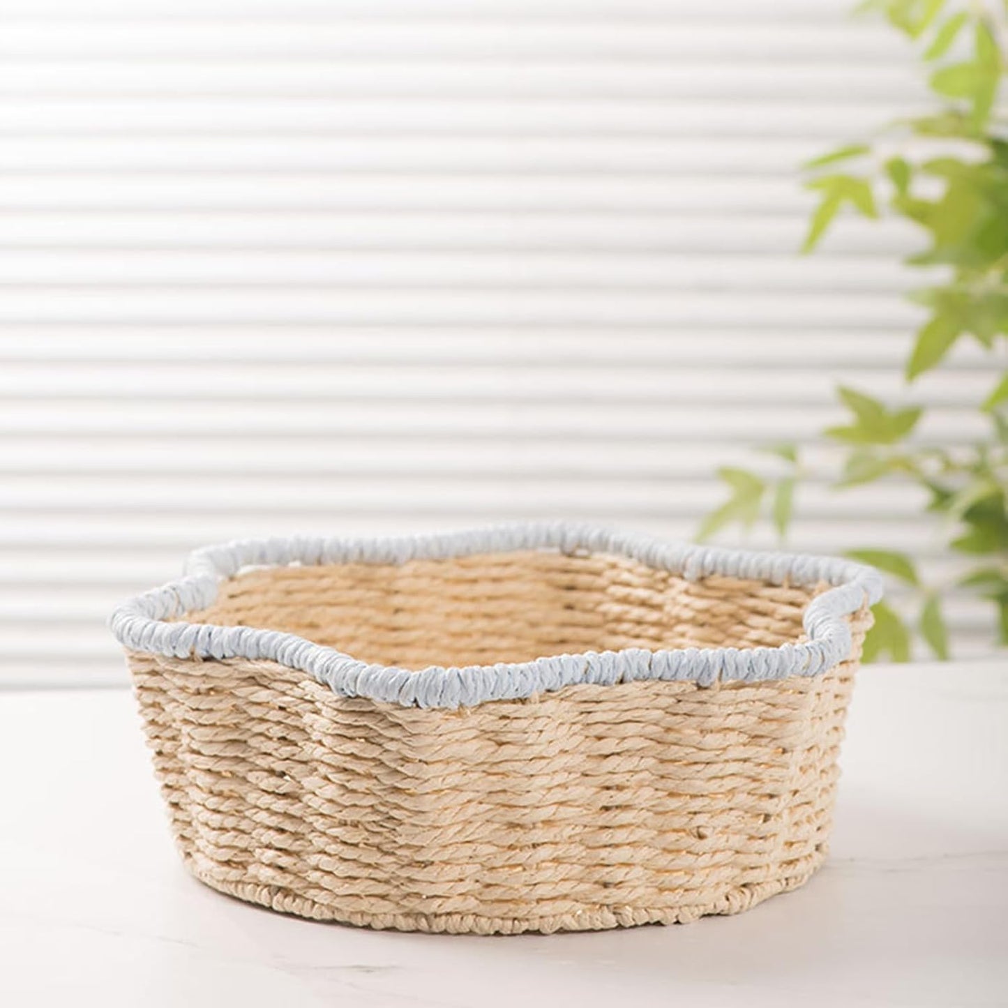 Handwoven Paper Rope Basket with Iron Frame Desktop Plant Holder & Hom