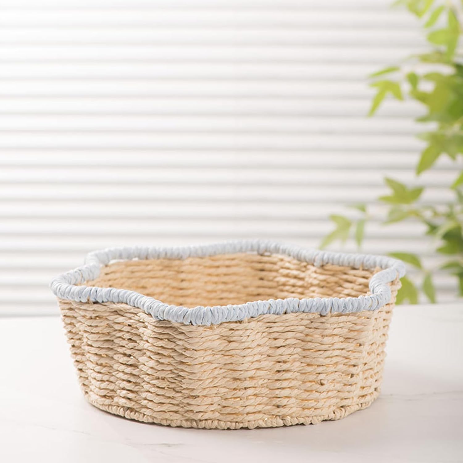 Handwoven Paper Rope Basket with Iron Frame Desktop Plant Holder & Hom