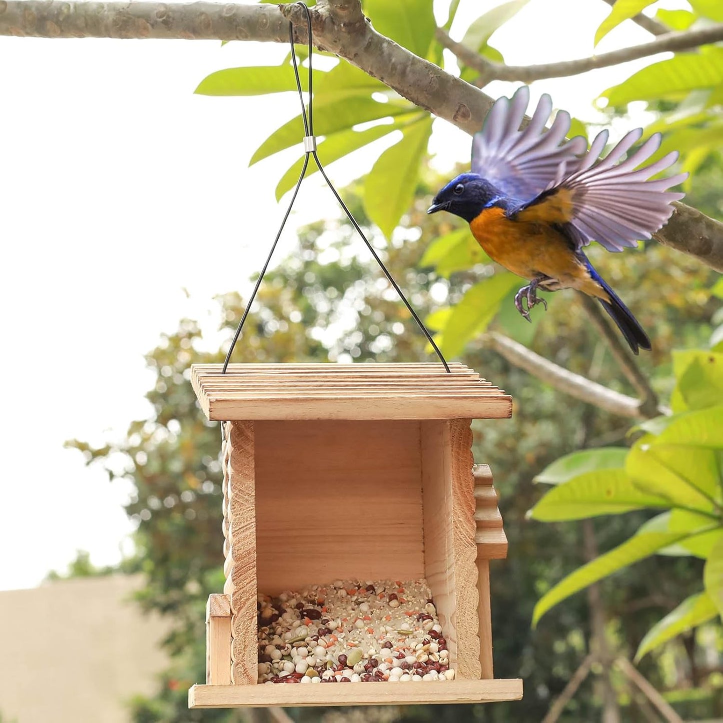 STARSWR Bird Feeder for Outdoor,Outside Hanging Bird Feeder - Mealworms Feeder Squirrel Proof, Bluebird House Feeder with Clear Acrylic Window - Perfect Bird Feeders for Outside