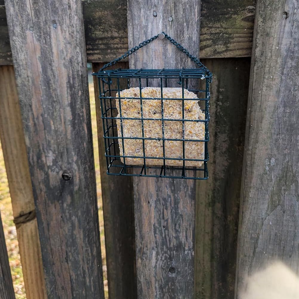 Suet Cake Bird Feeder Hanging Wild Bird Feeder for Outdoor Garden Cages Outside Suet Fruit Capacity Feeders (2 Pcs Black)