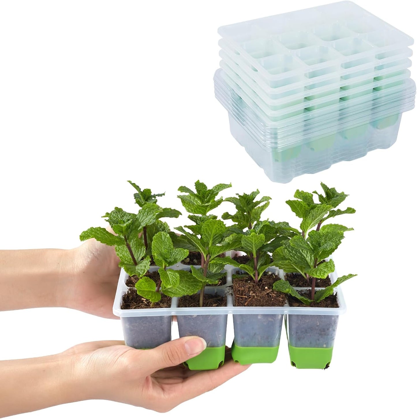 Backyard Expressions 5-Pack Silicone Seed Starter Kit – Reusable 60-Ce