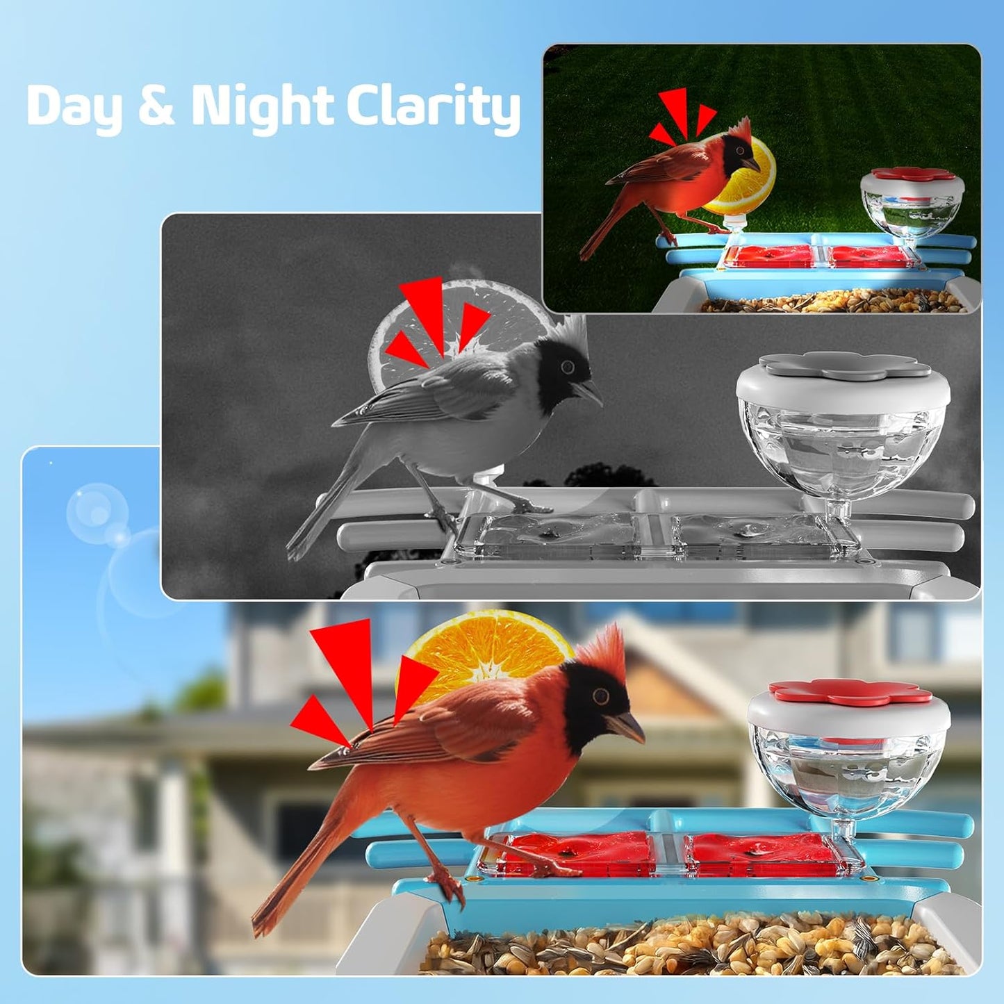 Bird Feeder with Camera 2K HD AI Smart Identify BirdSpecies Solar Panel Outdoors Birdhouse with Cam, Instant Arrival Alerts, Capture BirdVideo, Gifts for Mom Dad