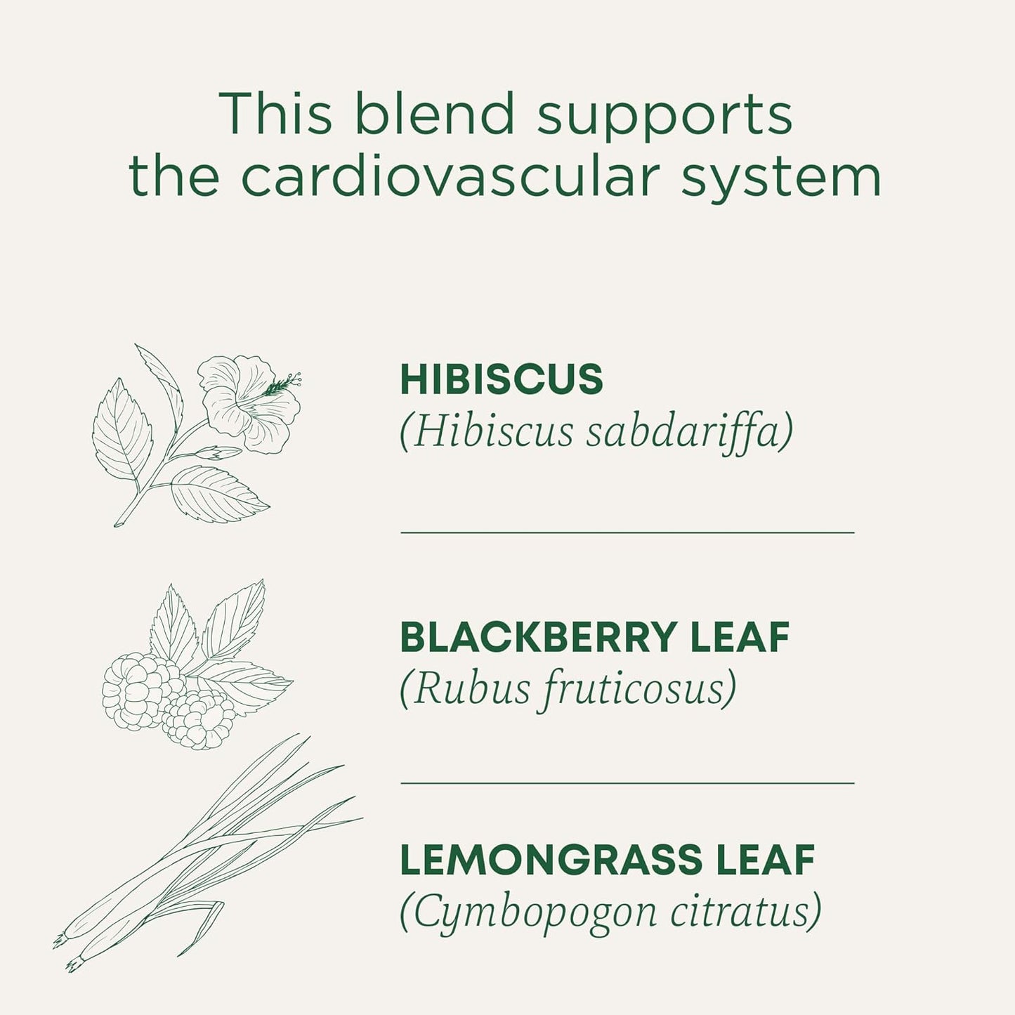 Traditional Medicinals Organic, Hibiscus Tea - Supports Normal Heart Health & Cardiovascular Wellness - Kosher, Non-GMO, Caffeine-Free, Compostable - 16 Tea Bags