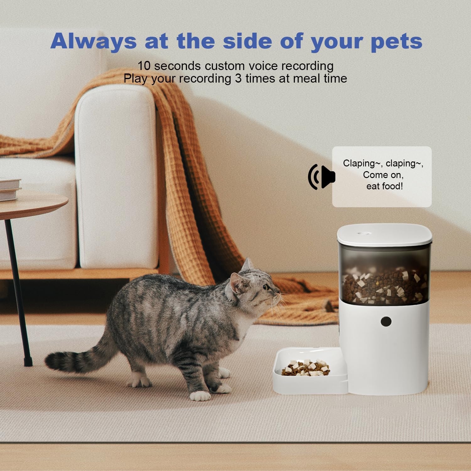 Automatic Cat Feeder, 4L Cat Food Dispenser with 10s Voice Recorder, P