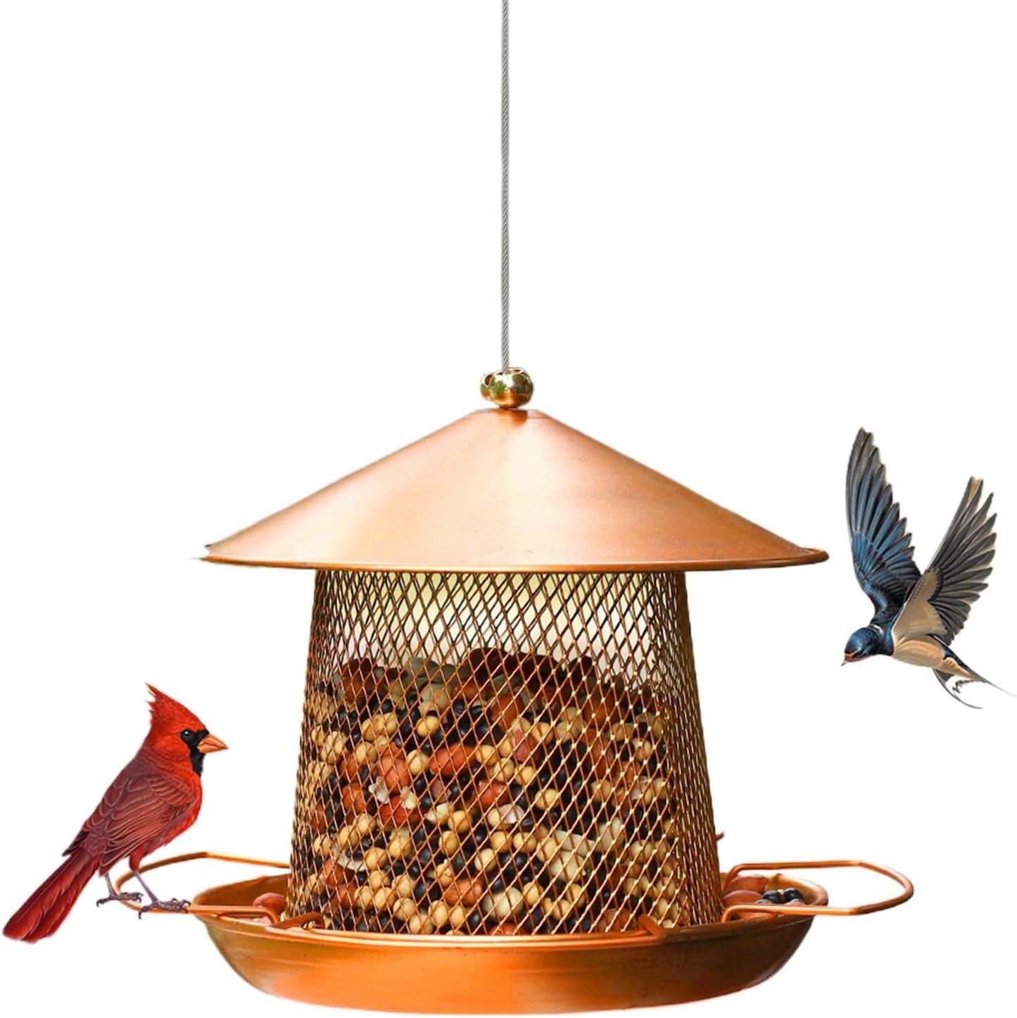 Bird Feeders for Outdoors - Decorative Hangable,Outside Wild Bird Feeding Station,for Finches Robins Sparrows Canary Budgies Backyard Balcony Patio Terrace