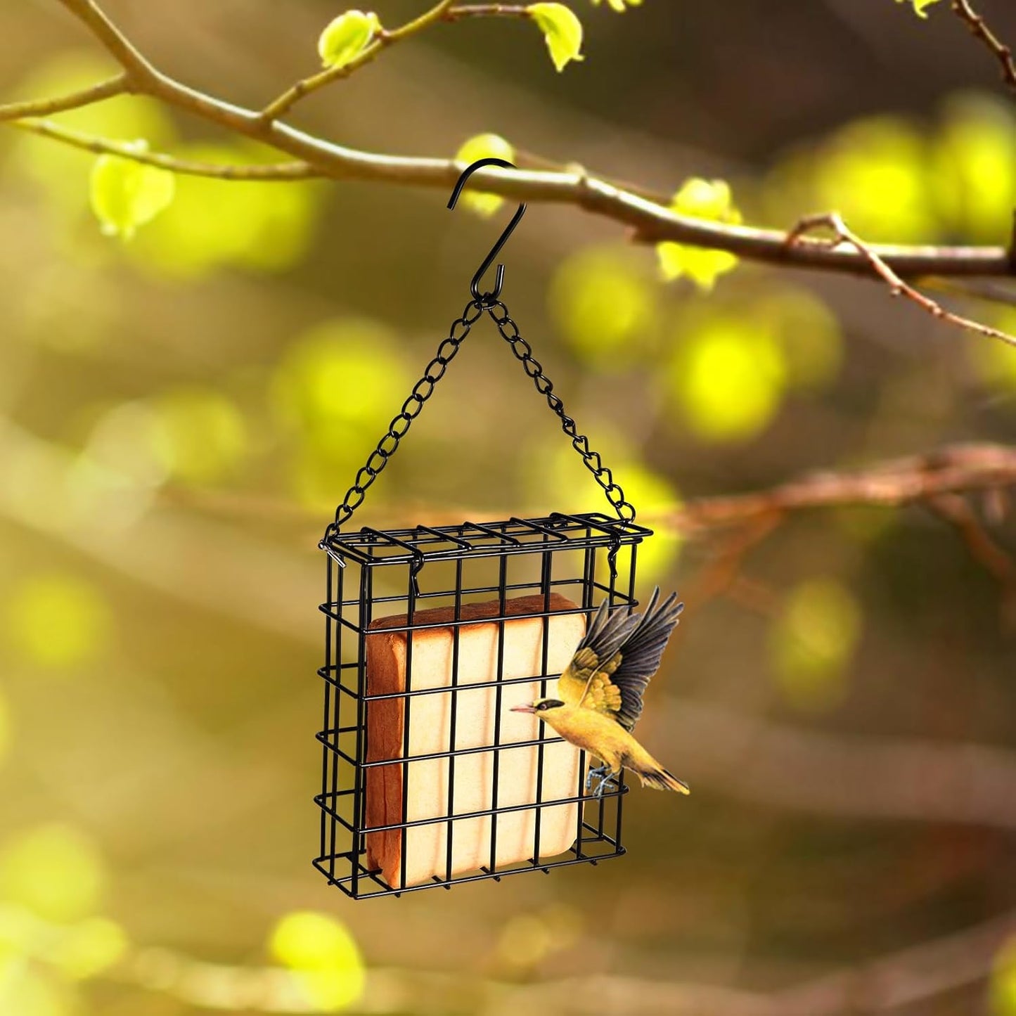 2Pcs Outdoor Suet Cage Bird Feeder, Wild Bird Feeder, Single Suet Cake Capacity, Fruit and Suet Feeder Style for Outside Hanging(Black)