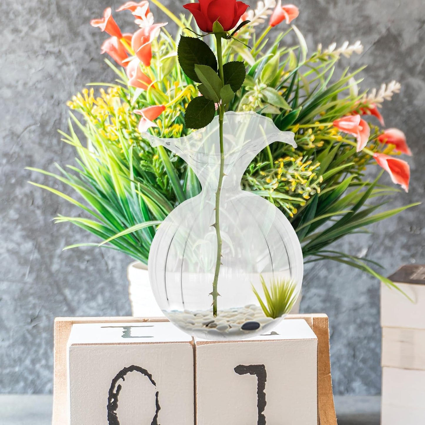 Glass Hydroponic Vase Small Glass Planter Pot for Succulent Flowers Wedding Floral Centerpiece Home Decor