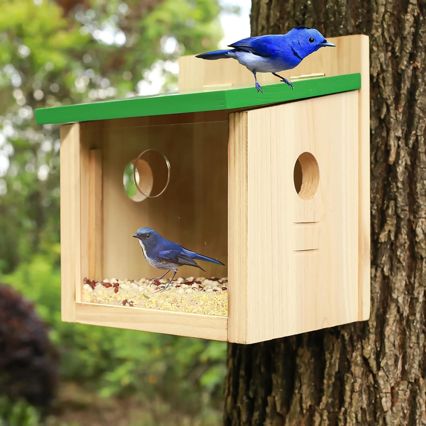 STARSWR Bird House Large Bluebird House Feeder Outdoor Mealworms Feeder for Bluebird with Viewing Window,with Easy Clean Removable Door Outside Hanging Birdhouses