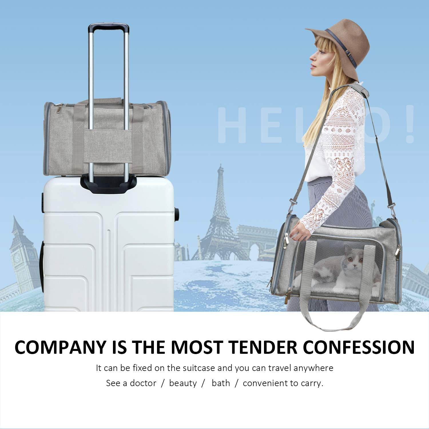 Henkelion Cat Carriers Dog Carrier Pet Carrier For Small / Medium Cats