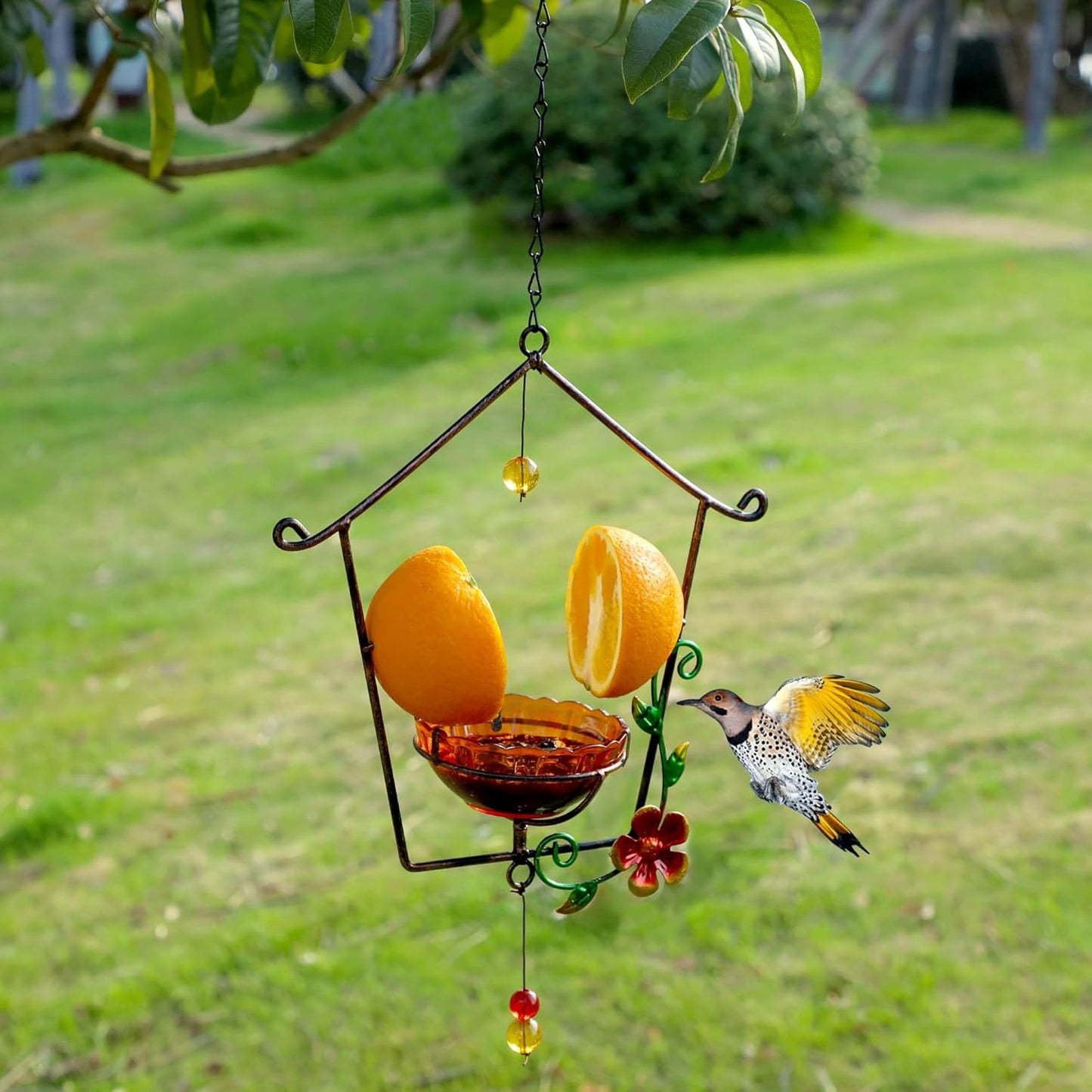 FORUP Oriole Bird Feeder for Outdoors Jelly and Oranges, Orange Fruit 