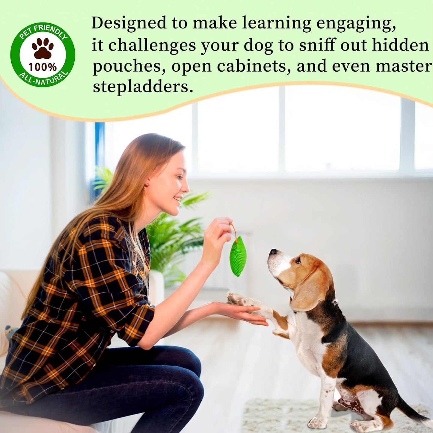 Dog Scent Training kit, Brain Games, Hide and Seek Toys - Fun Nose Wor