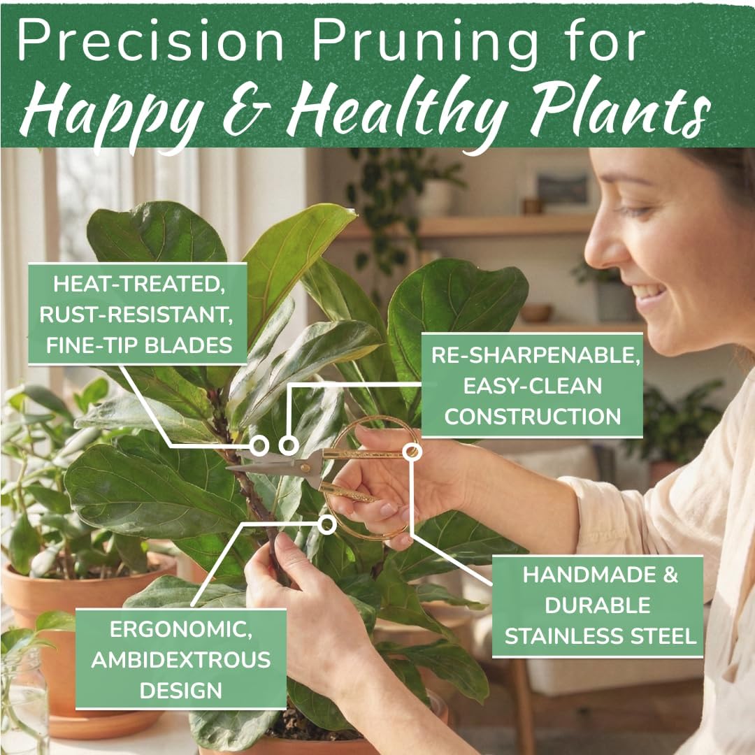 Premium Houseplant Scissors | 100% Stainless Steel, Ultra-Precise Garden Clippers for Propagation & Trimming | Rust-Resistant, Easy Clean Pruning Shears | Indoor & Outdoor | Comfortable & Ambidextrous