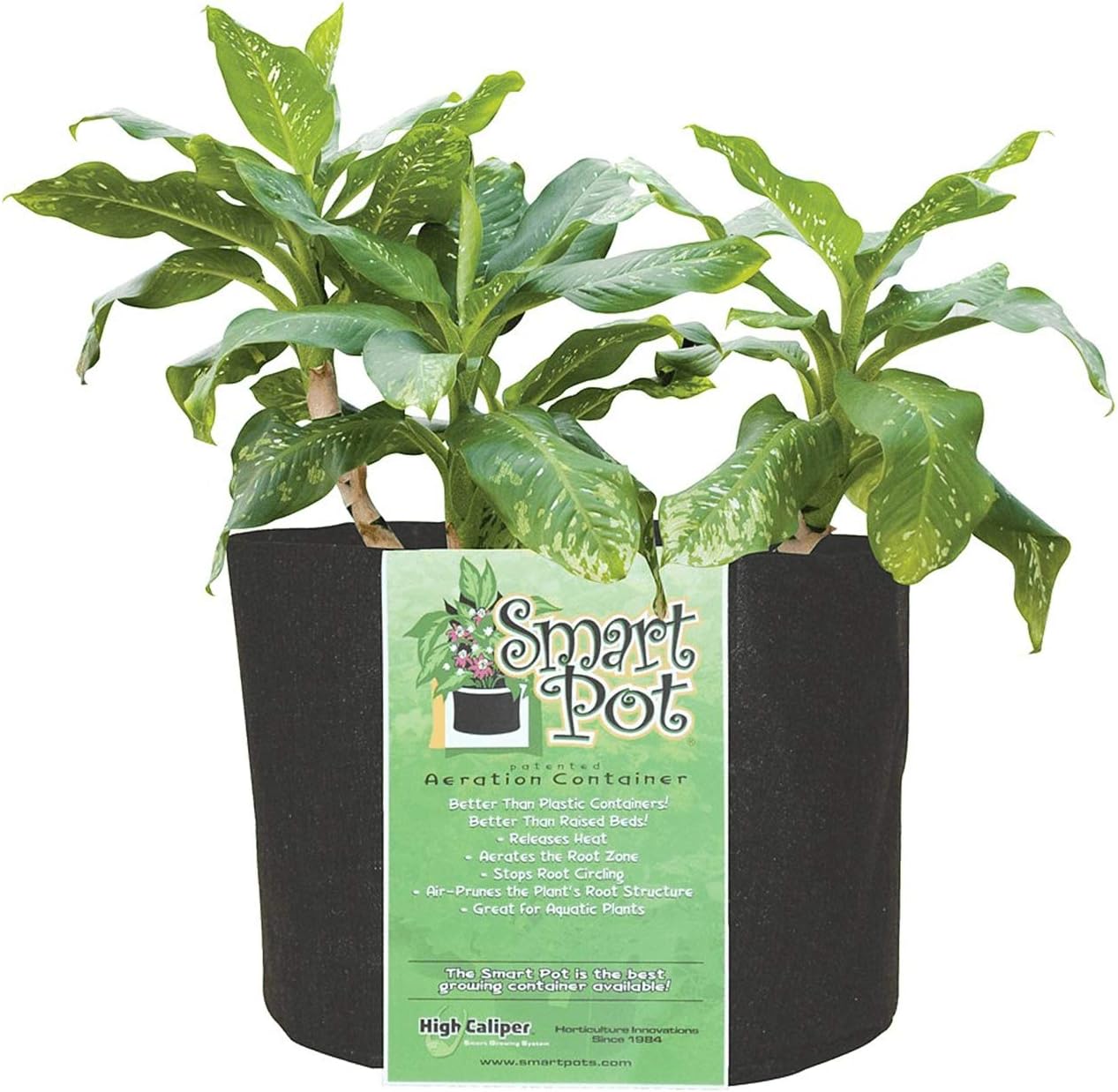 Smart Pots 30-Gallon Smart Pot Soft-Sided Container, Black