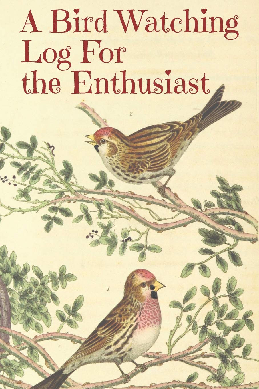 A Bird Watching Log For the Enthusiast: A Vintage Style Field Guide Book For Sport And Outdoors Ornithology Lovers