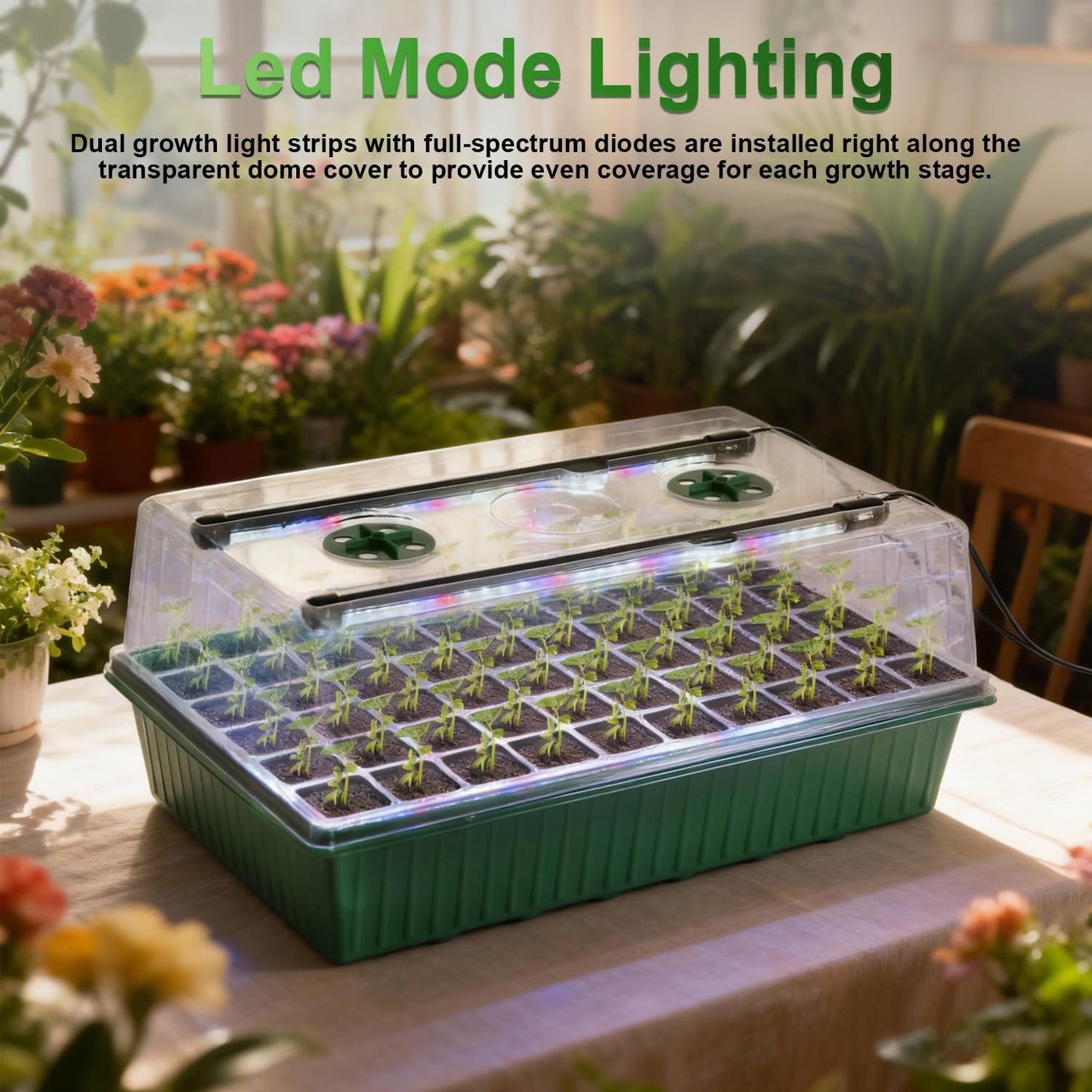 TONYFUL Seed Starter Tray with Grow Light, 120-Cell Seed Starter Kit w