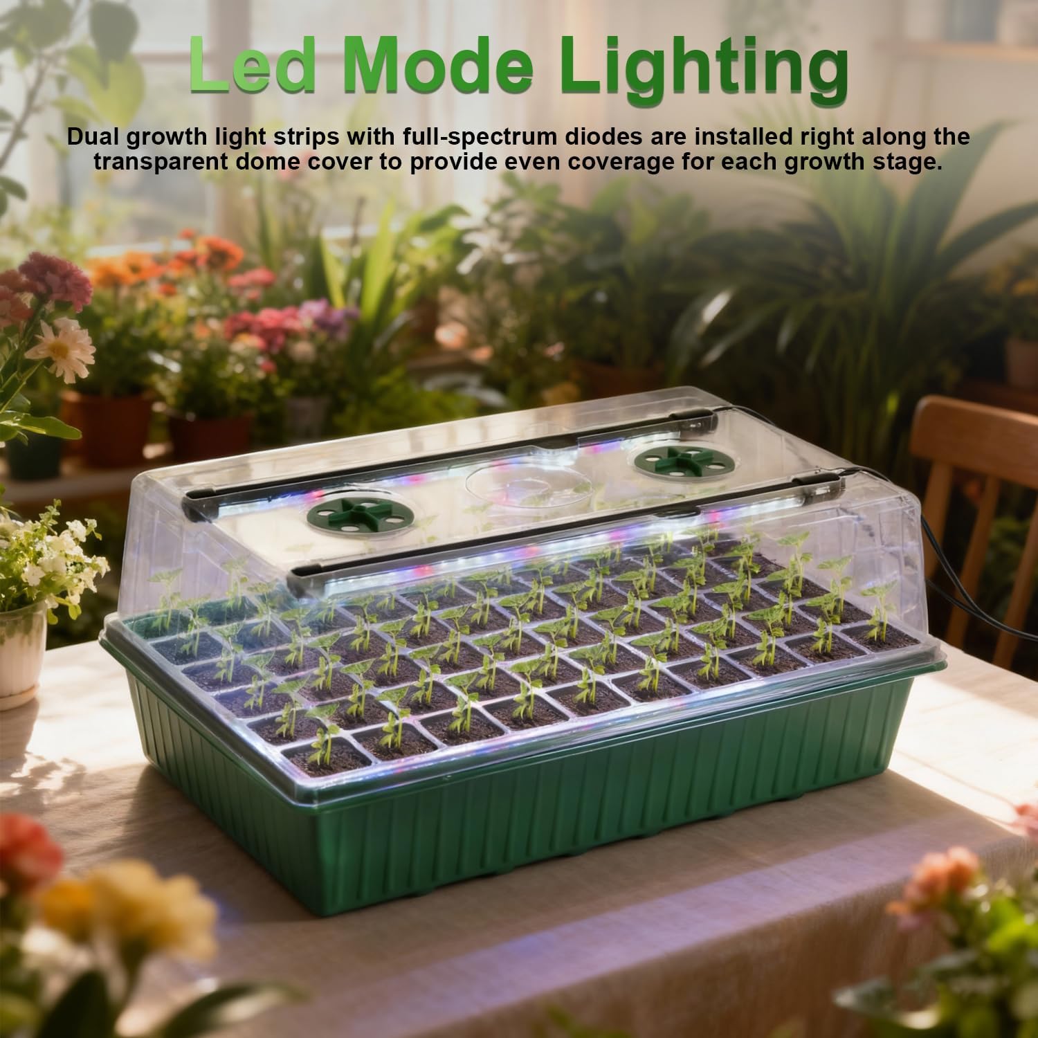 TONYFUL Seed Starter Tray with Grow Light, 120-Cell Seed Starter Kit w