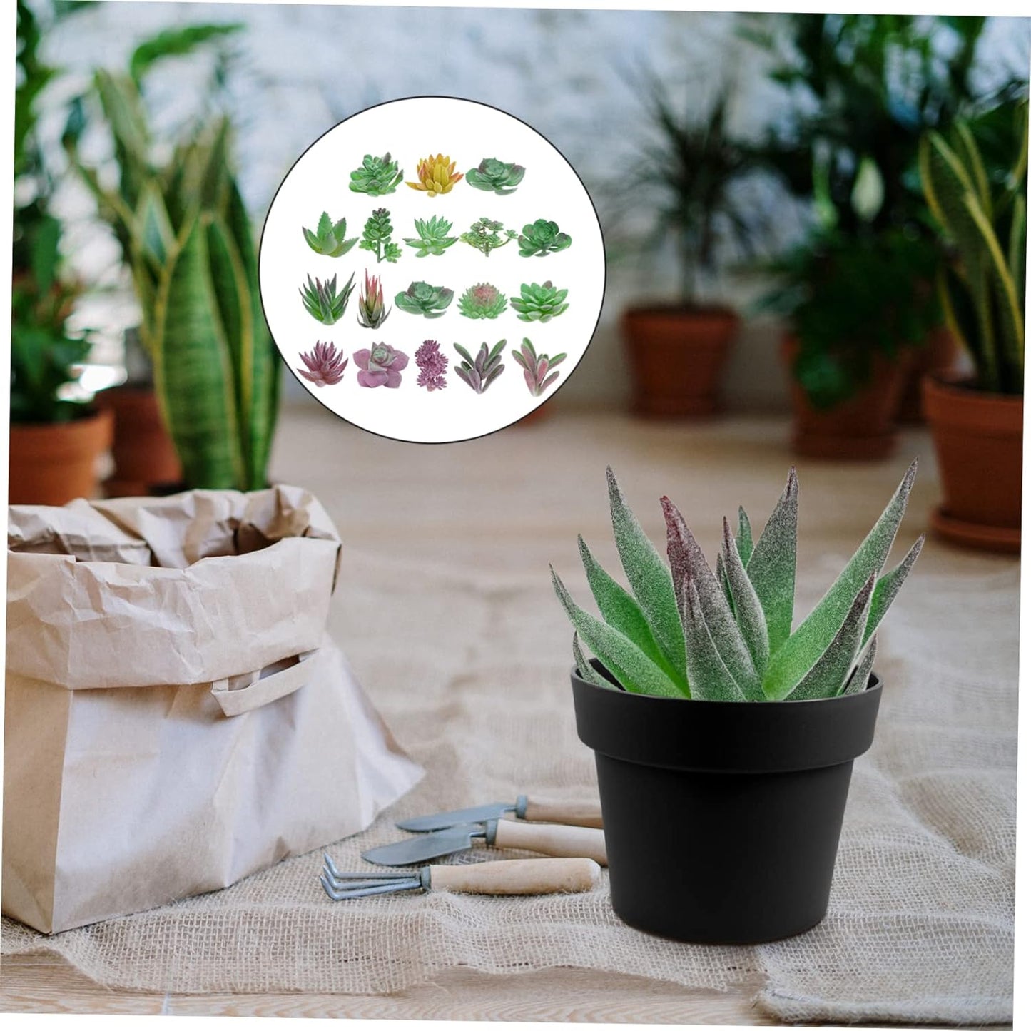 BESTOYARD 18pcs Simulated Succulents Miniature Succulent Planters Plas