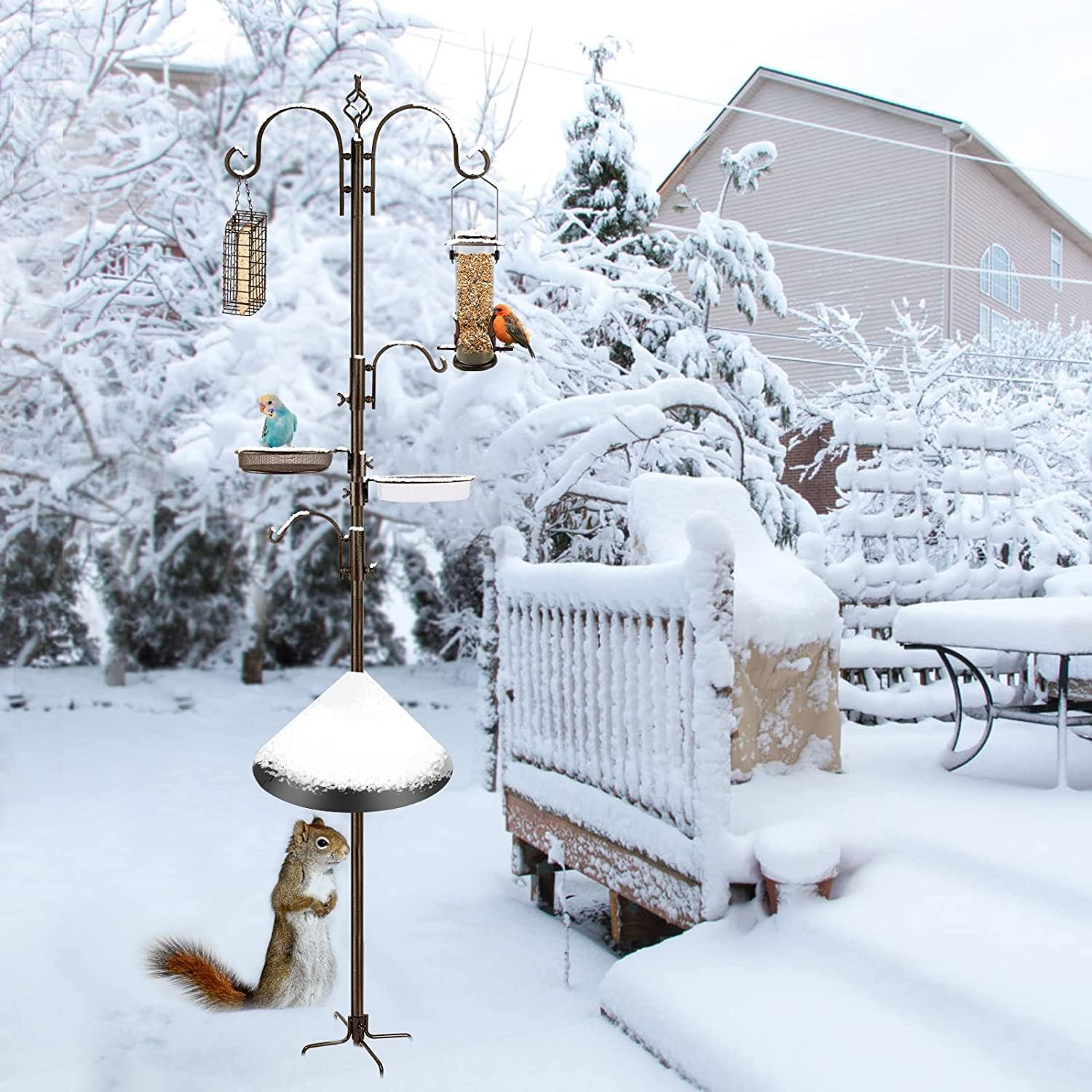 Bird Feeding Station Kit with Squirrel Baffle and Suet Cage Wild Bird 