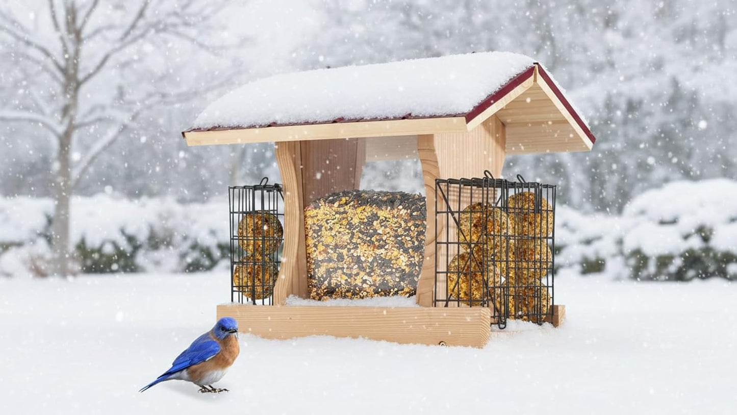 XL Hopper Bird Feeder for Outside - DIY Birdfeeder Kits for Adults to Build - Ranch Feeder W/Suet Cages - Heavy Duty 3/4" Red Cedar - Longtime Durability - 10 Lbs Compacity, 13" Size