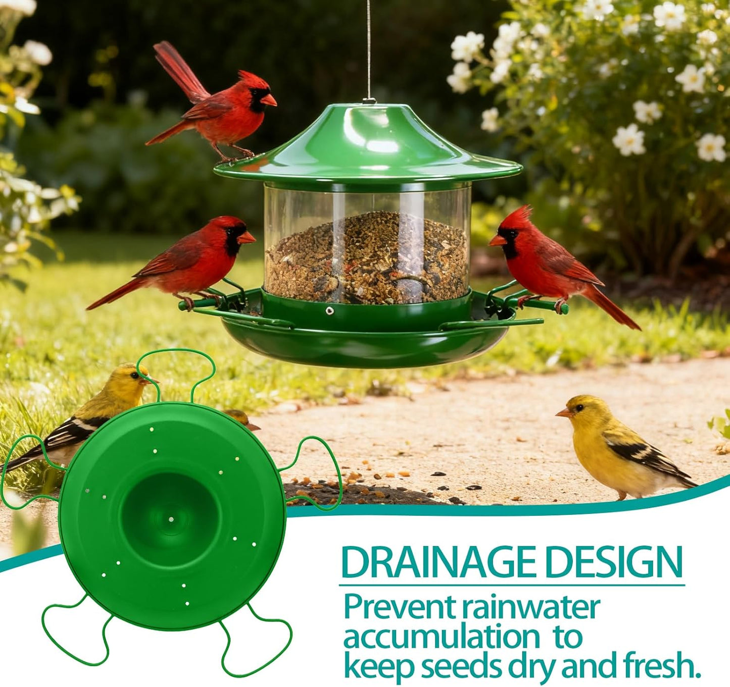 Outdoor Hanging Bird Feeder Visible Metal Construction for Durability 1.8L Capacity Multi-Hole Seed Tray Multiple Feeding Stations Green Color Adjustable Hanging Design Easy-Fill lid (Green)