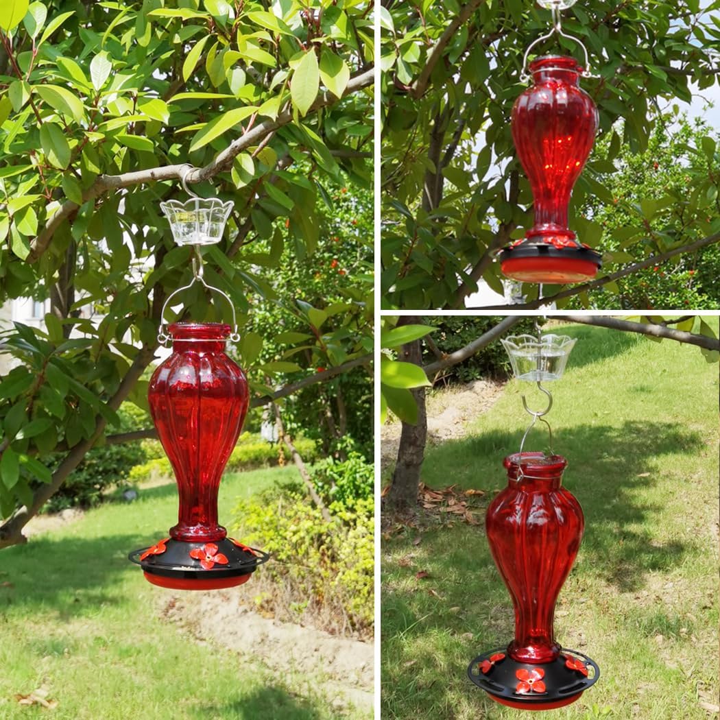 Hummingbird Feeder for Outdoors Hanging - Red Glass Nectar Feeding Bottle Including Clear Ant Moat - 24 OZ (710ml), 4 Red Flower Ports, Black Cover
