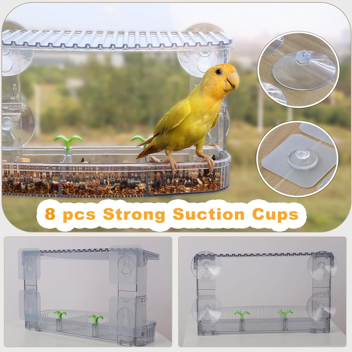 Transparent Acrylic Window Bird Feeder 3-Tier Removable Trays - 8 Suct