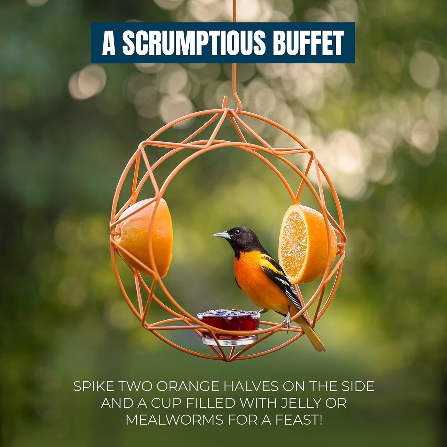MEKKAPRO Sun Baltimore Oriole Feeder for Outdoors, Jelly and Orange Me