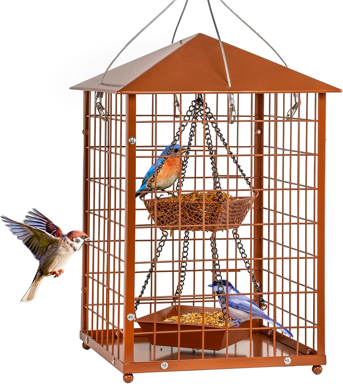 Mealworms Bird Feeders for Bluebirds - Metal - Huge Caged Squirrel-Proof Bird Feeders with 2 Cups, DIY Wild Bird Feeders Outdoor Hanging (Brown), Attract Wild Birds, 2lbs Seed Capacity+1 Mealworms Cup