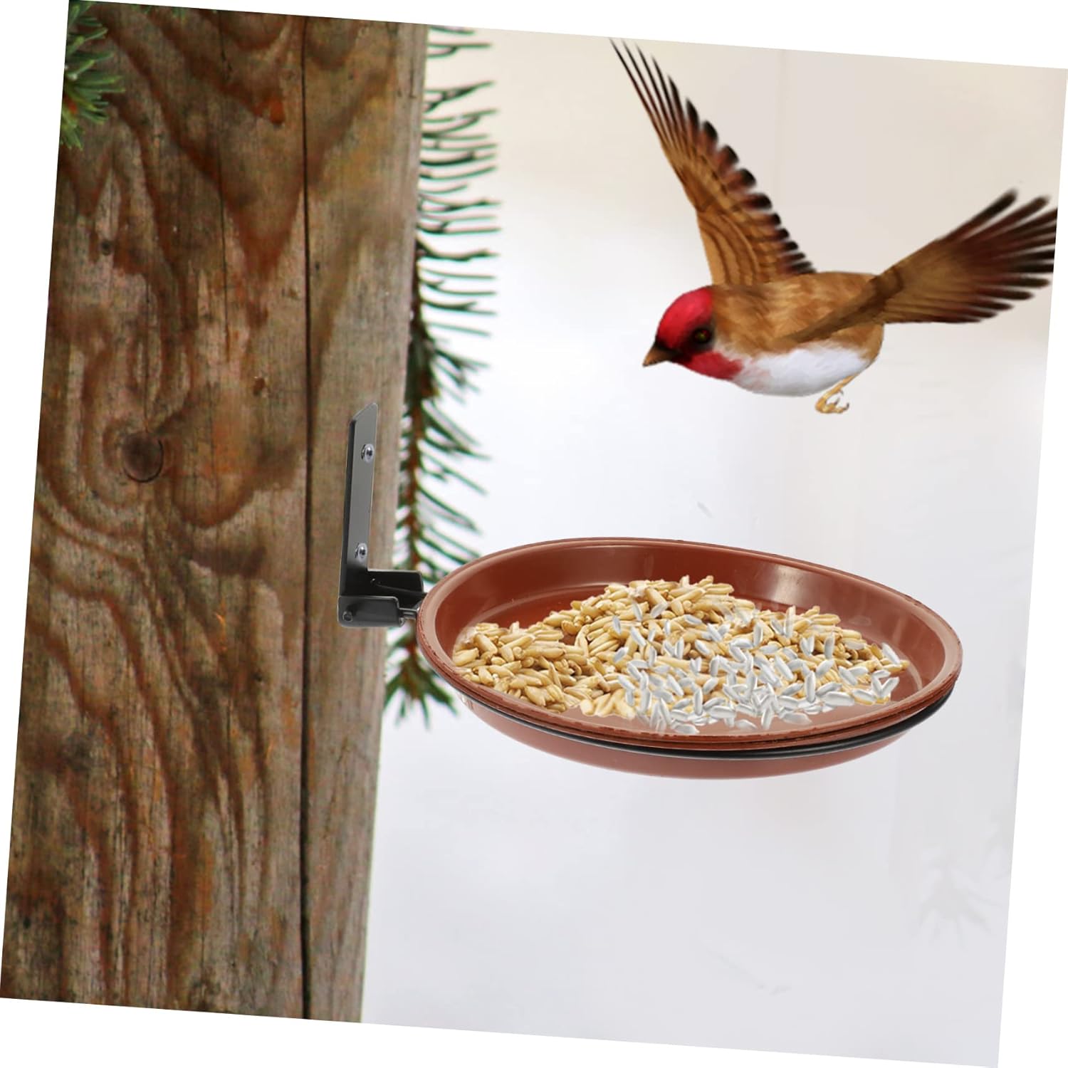 Milisten 1set Hanging Bird Bath Tray Bird Feeder with Heavy Duty for F