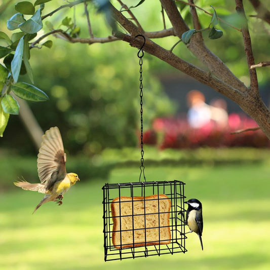 Suet Bird Feeder,Reusable Squirrel Proof Birdwatching Feeding Station,Suet Cake Holder | for Balcony Garden Yard Patio Outdoor Outside Hummingbirds Woodpeckers