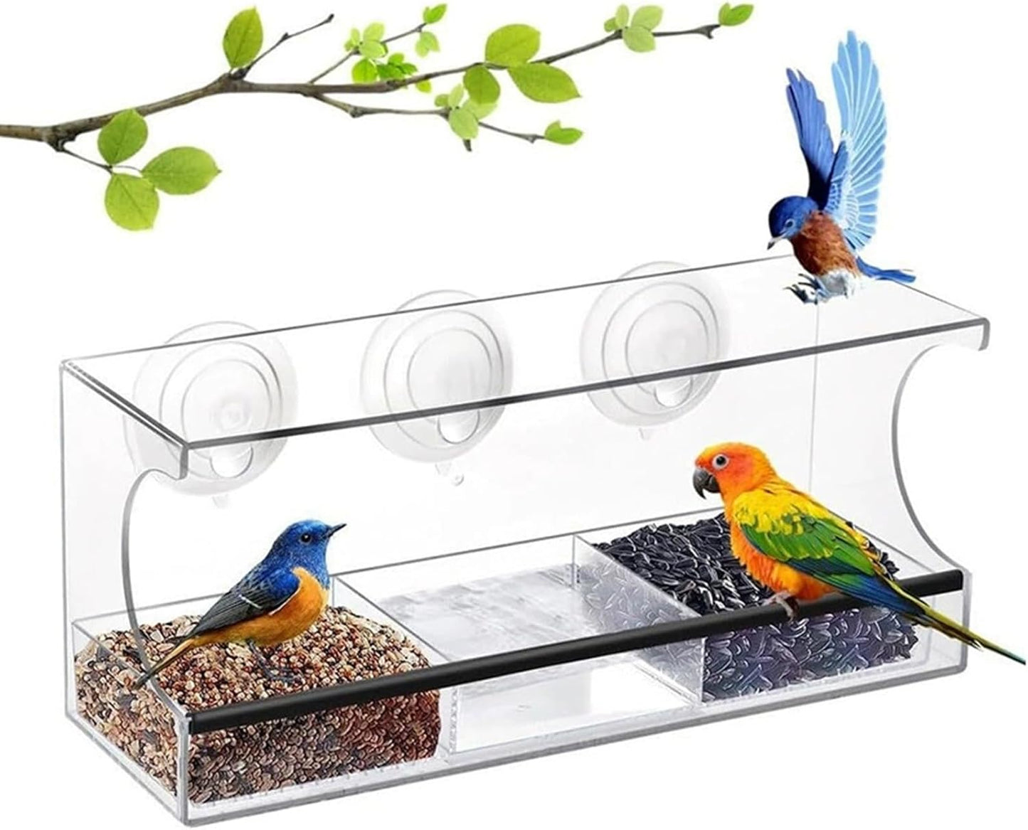 Window Bird Feeder, Suction Cup Food Box, Acrylic Clear Detachable Feeder for Indoor, Deck Patio Balcony Observation, Spill-Proof Feeding Station, Kids Bird Watching Accessory