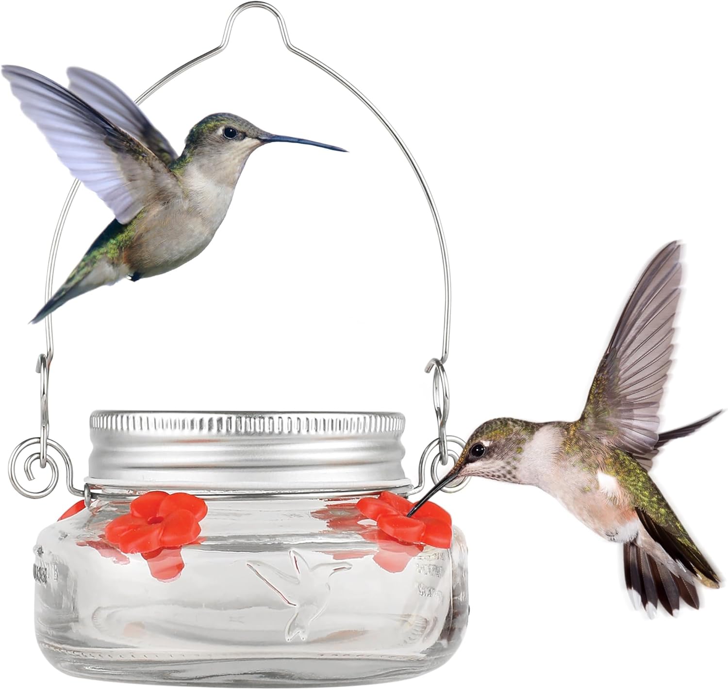 Nature's Way Bird Products MJF1 Nature's Way Mason Jar Hummingbird Dis