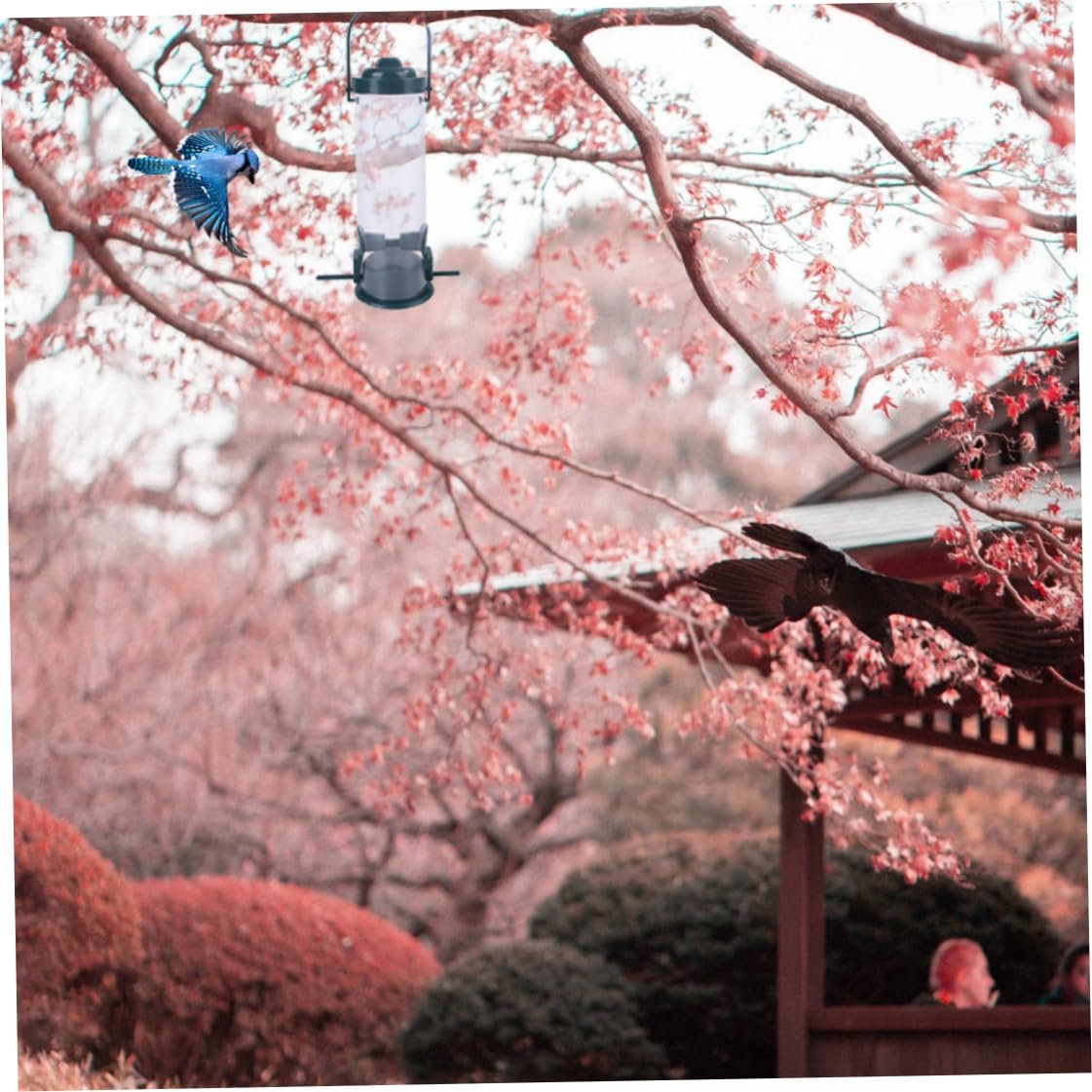 Bird Feeder Hanging Seed Holder Bird Food Container Dispenser Automatic Plastic Supplies for Outoor Wild Birds Hanging Feeder