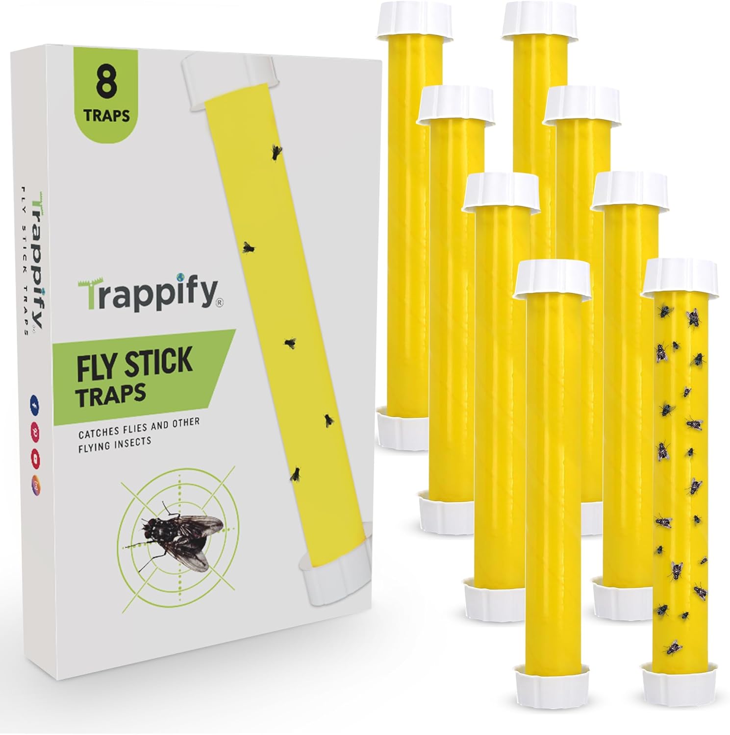 Trappify Hanging Fly Traps Outdoor: Fruit Fly Traps for Indoors | Gnat