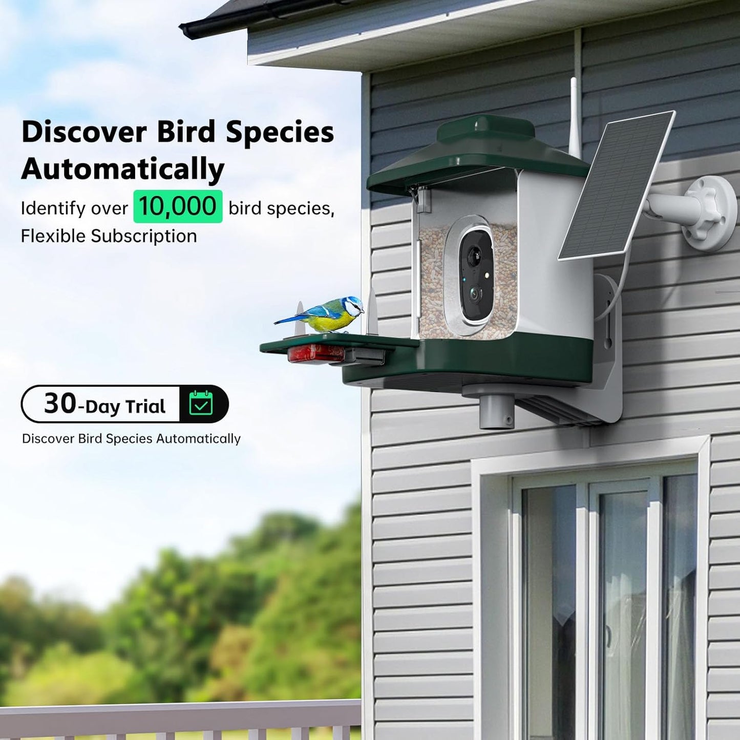 Smart Bird Feeder with Camera, AI Identify Bi rd Species Solar Powered,Full HD Live Video Bird Feeder Camera, 2.4Ghz WiFi, Instant Arrival Alerts - Best Gifts for Bi rd Lover