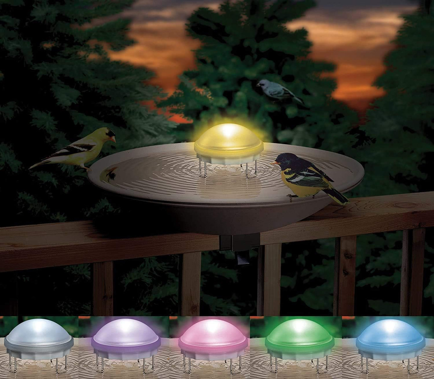 API® Aurora Water Wiggler® | Bird Bath Water Circulator | Water Agitator for Bird Bath