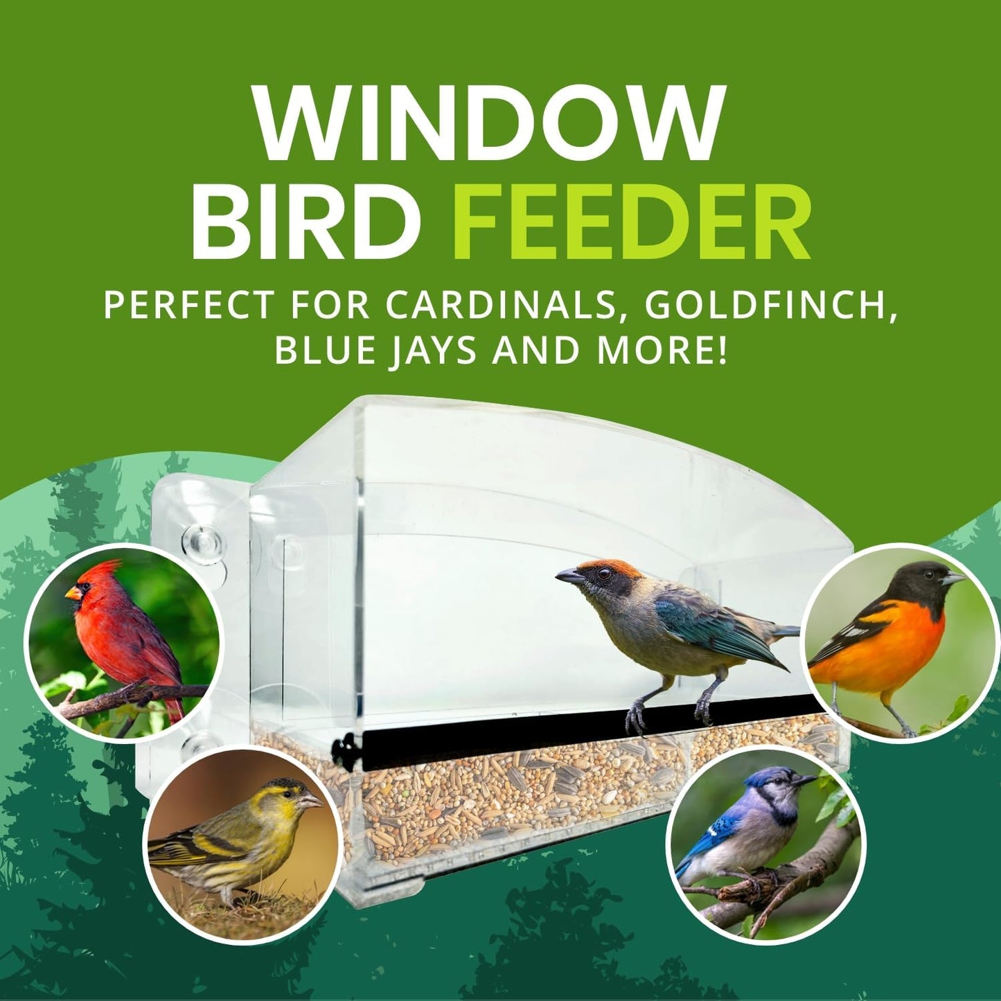 Nature Gear Acrylic Clear Window Bird Feeder with Strong Suction Cups, Removable Sliding Seed Tray, Weather-Resistant & Easy to Clean for Window Viewing, Dome