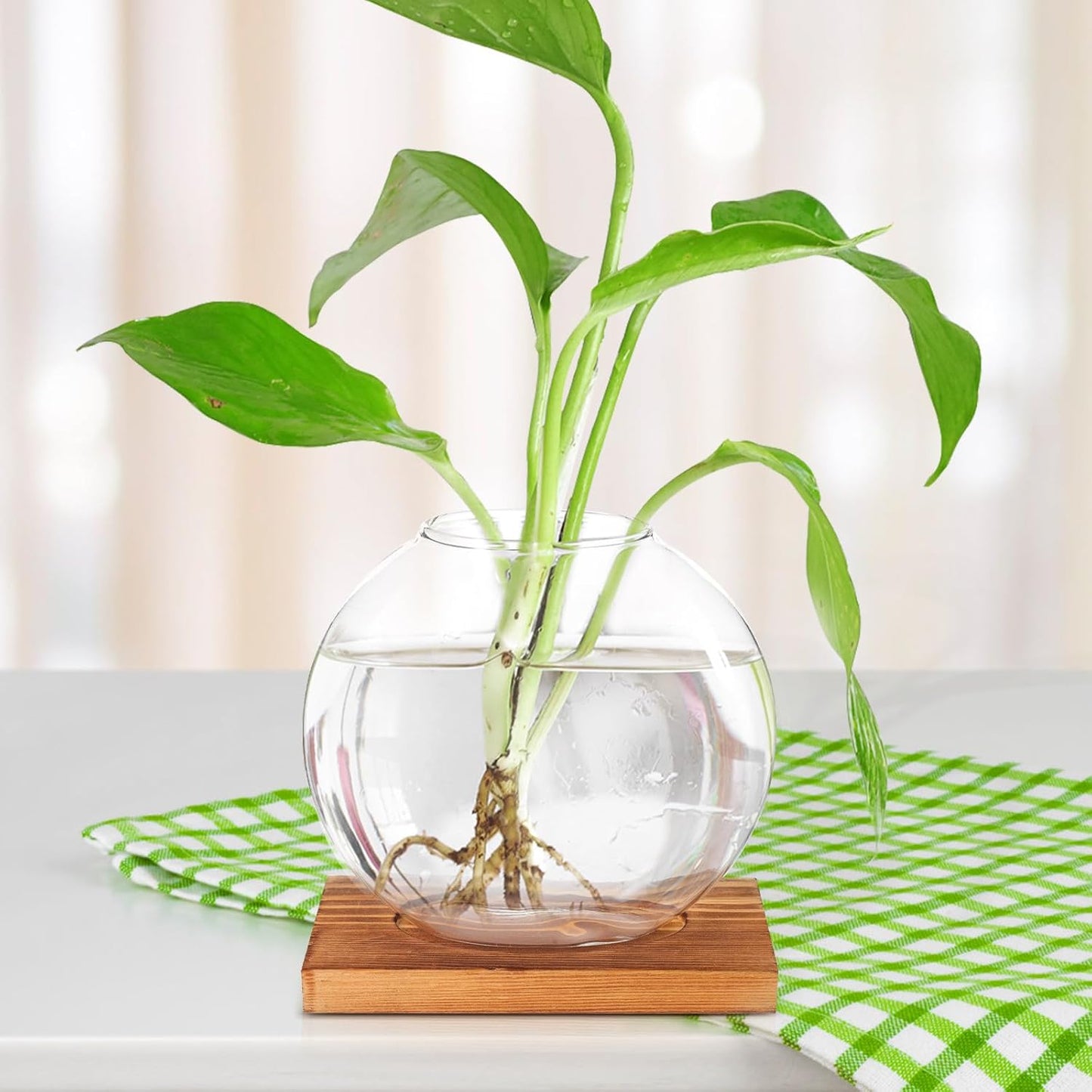 Milisten Wood Base Glass Hydroponic Green Pothos Planter Vase Desktop 