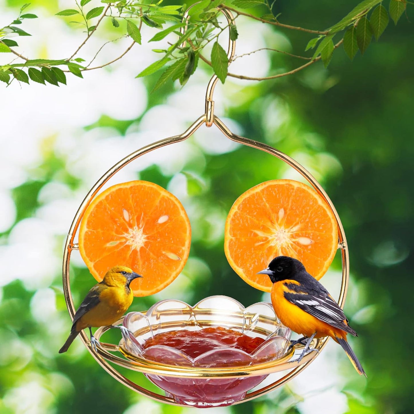 Oriole Feeders for Outdoors Hanging with Fruit Holder, Golden Oriole Feeders, Easy to Disassemble and Wash, Used for Bird Watching in The Courtyard