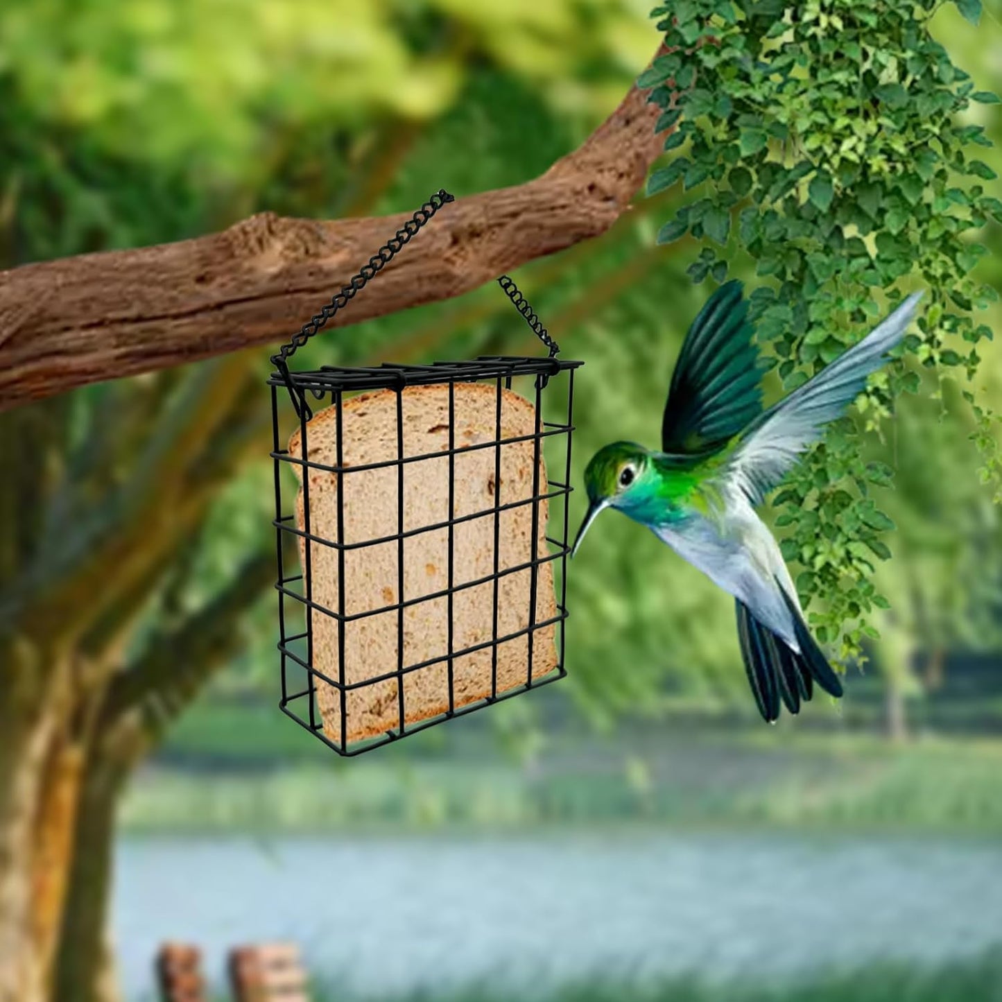 Suet Cake Bird Feeder Hanging Wild Bird Feeder for Outdoor Garden Cages Outside Suet Fruit Capacity Feeders (2 Pcs Black)