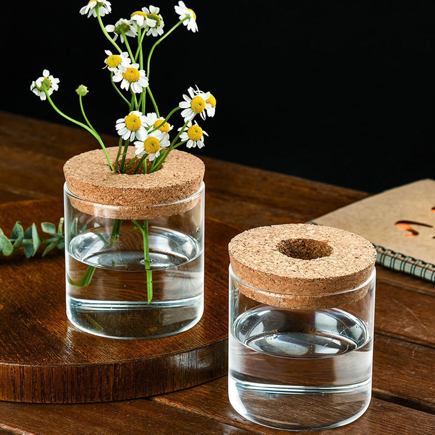 Clear Glass Planter Vase with Wooden Lid and Bamboo Stand for Hydroponic Plants, Succulents, Cut Flowers Gifts for Women Mom Plant Lovers (1, 2.55 * 3.93inch)