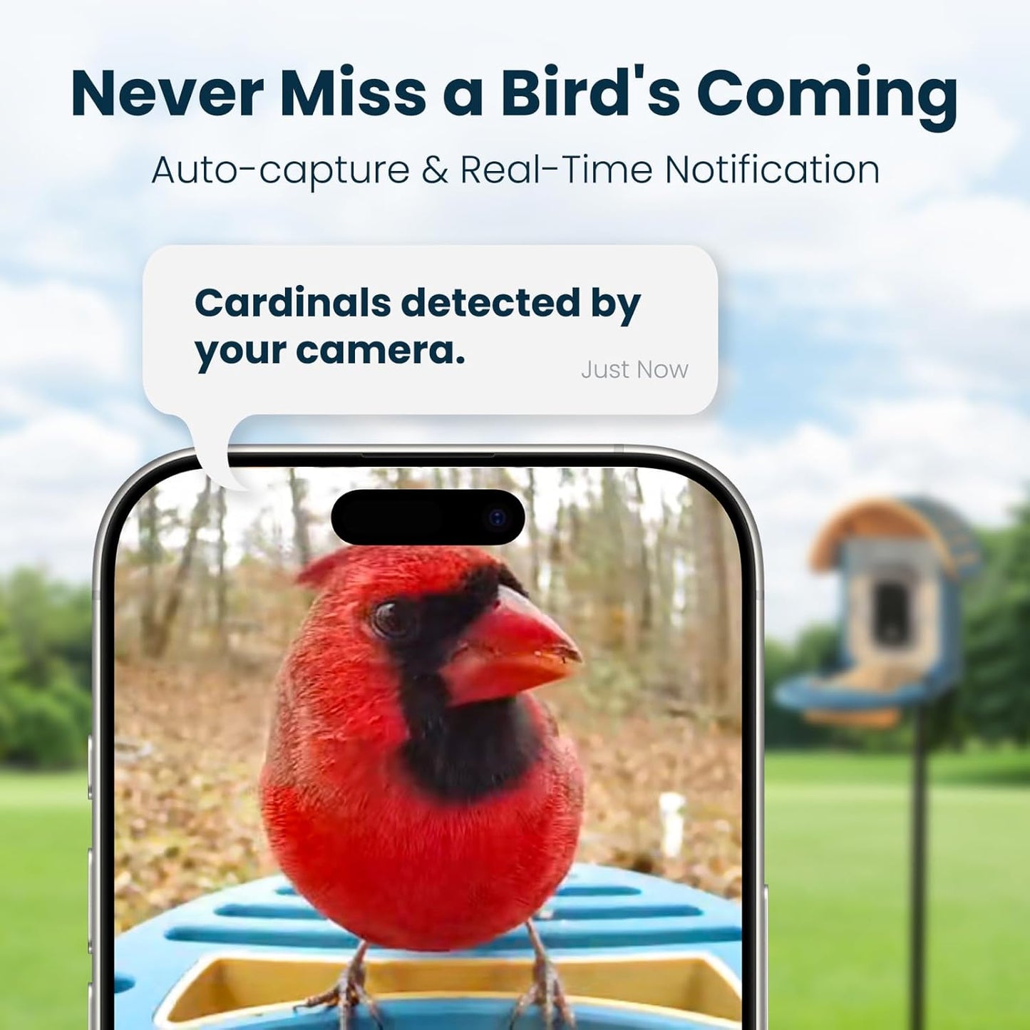 Smart Bird Feeder with Camera, 2.5K UHD Bird Feeder Camera Solar Powered, Sensitive AI Identification, Instant Alerts Capture Video, IP66 Waterproof for Outdoor, Ideal Gift, Blue