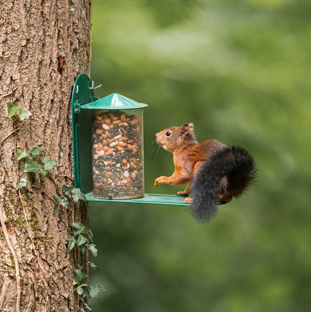 Green Metal Wild Squirrel Feeder - Garden Squirrel Feeding for Wildlif