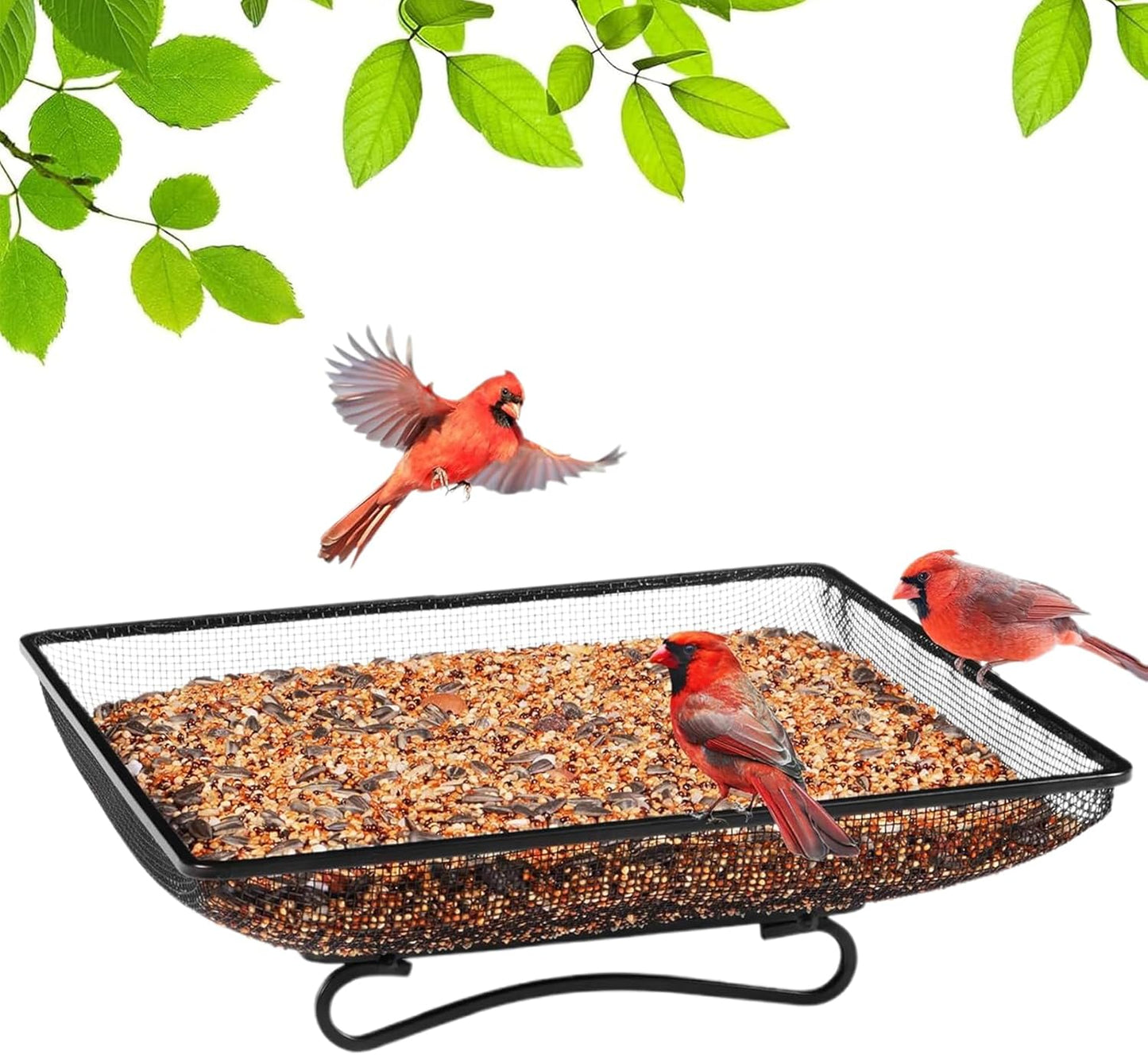 Wild Bird Feeders, Square Ground Tray Feeder, Metal Mesh Bowl for Feeding Birds, Stainless Steel Bird Feeder with Mesh Design, Outdoor Garden Station with Wildlife Access, Blue Jay Squirrel Feed Use