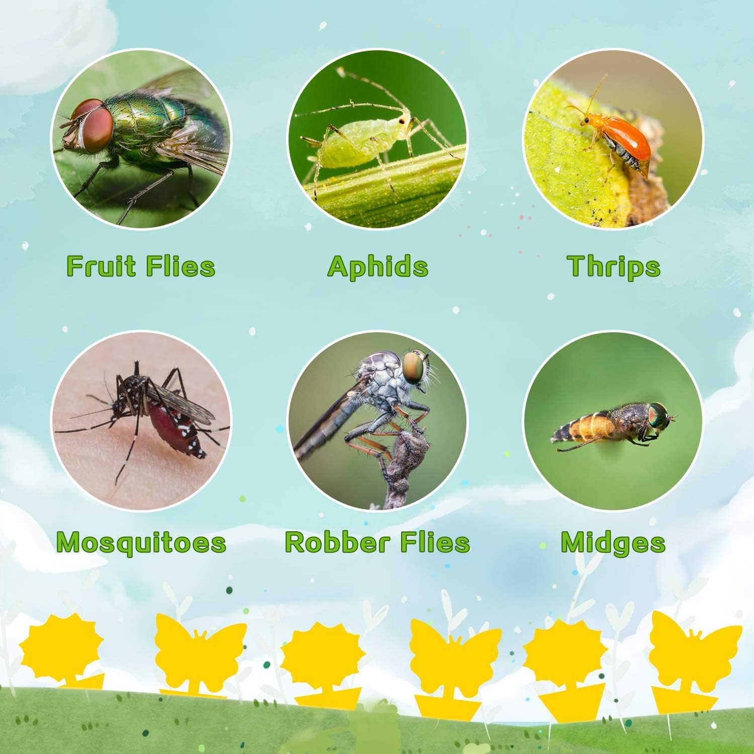 Fruit Fly Traps Fungus Gnat Traps Yellow Sticky Bug Traps 36 Pack No H