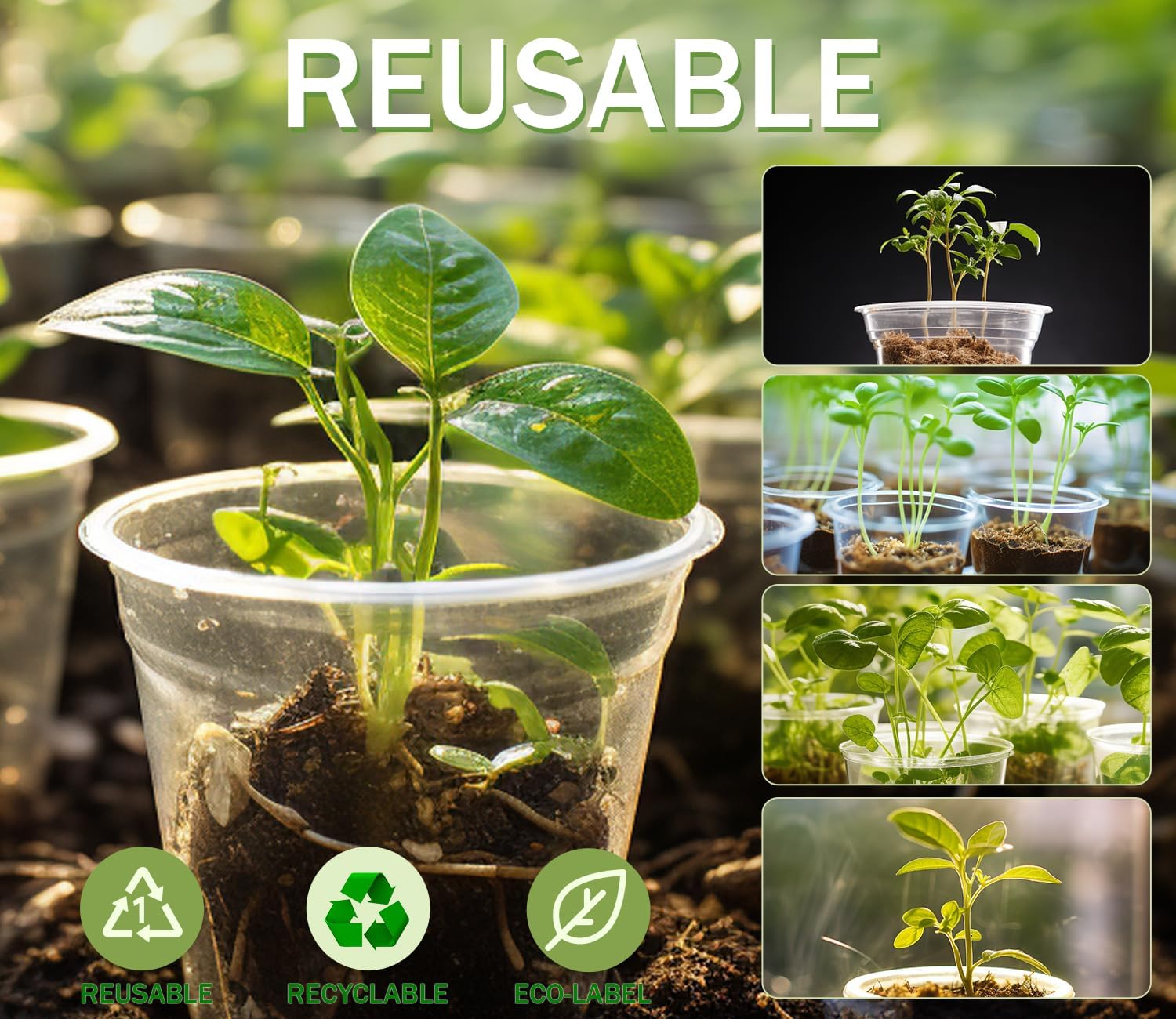 30 Packs Clear Nursery Pots for Plants, 3.5/4/5 Inch High Transparency