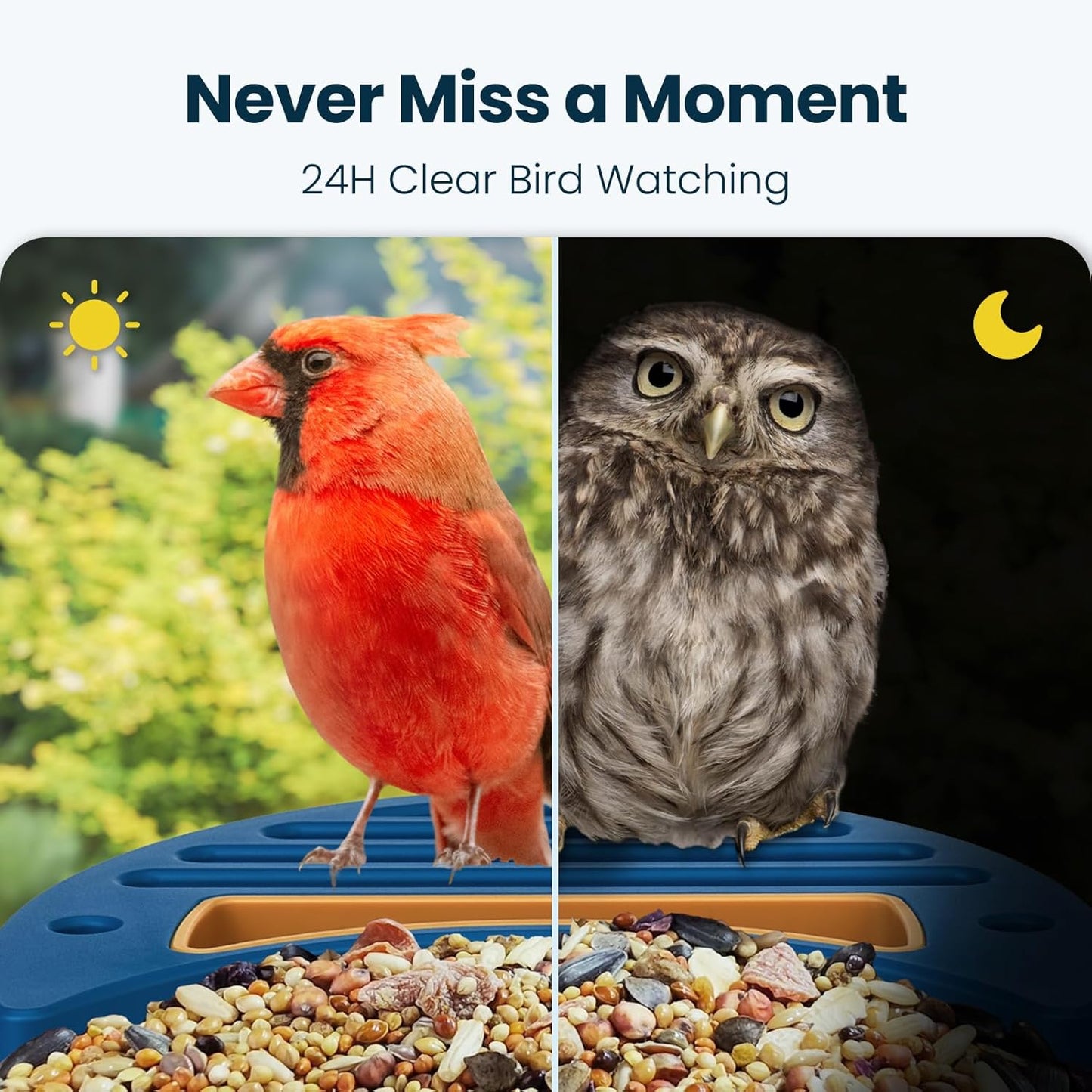Smart Bird Feeder with Camera, 2.5K UHD Bird Feeder Camera Solar Powered, Sensitive AI Identification, Instant Alerts Capture Video, IP66 Waterproof for Outdoor, Ideal Gift, Blue