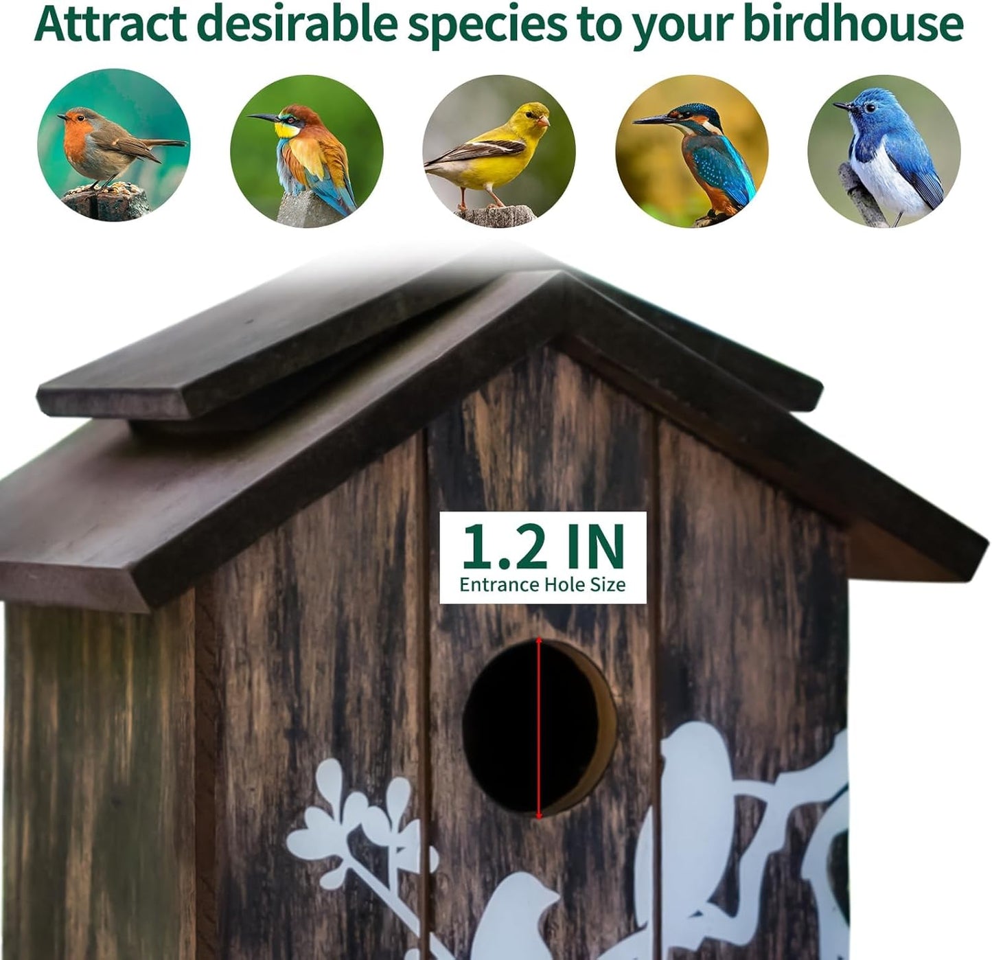 Topadorn Wooden Bird House Hanging Outdoor,Eco Friendly Materials and Decorative with Bird Printed