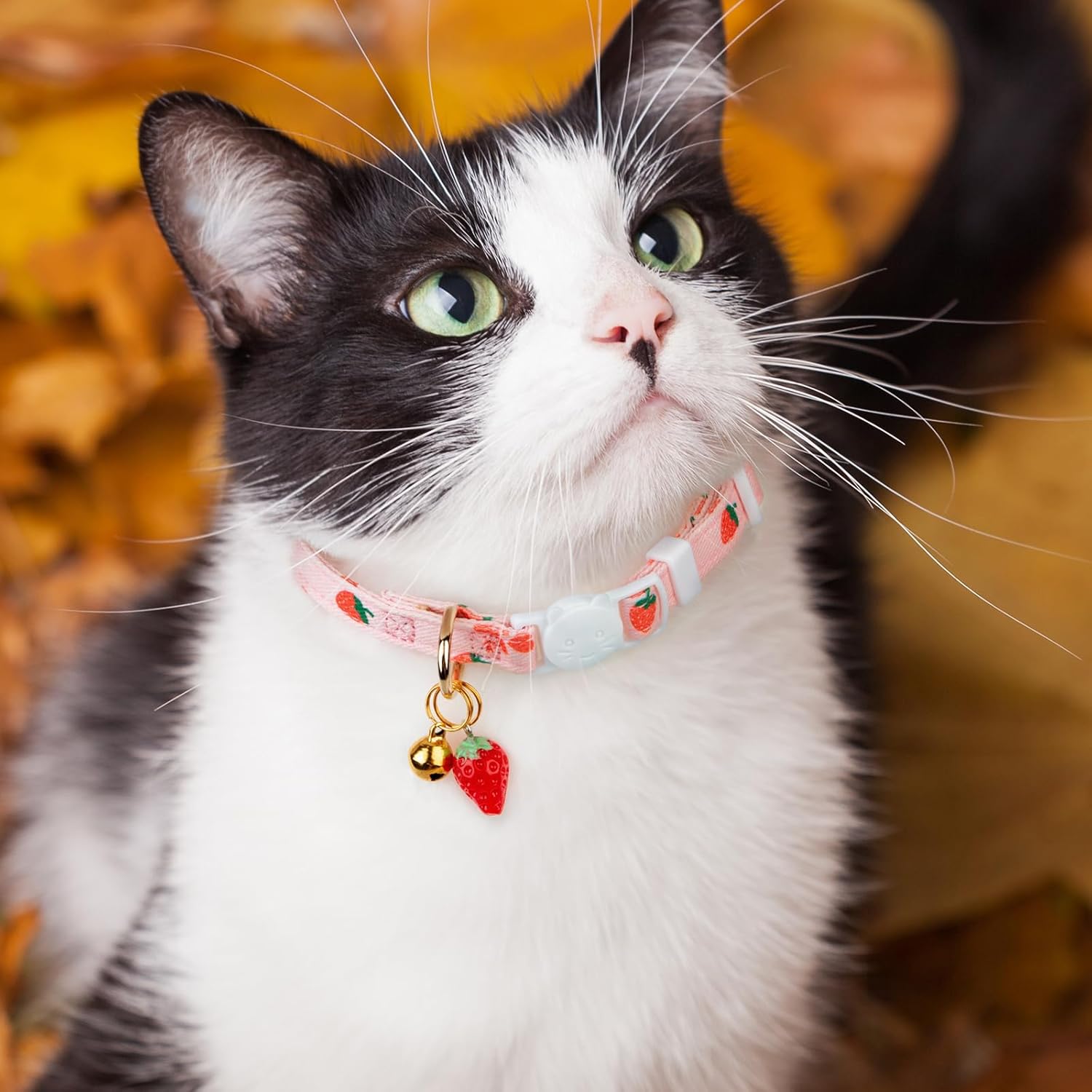 2 Pack Cotton Breakaway Cat Collar Pink Strawberries and White Heart S