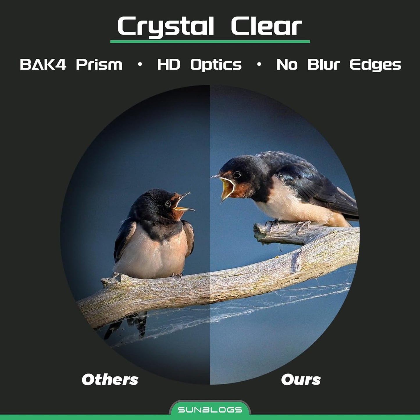 12x42 HD Binoculars for Adults High Powered - Waterproof BAK4 Prism Binoculars for Bird Watching, Hunting, Travel, Hiking & Opera - Super Bright Lightweight Binocular (Black)